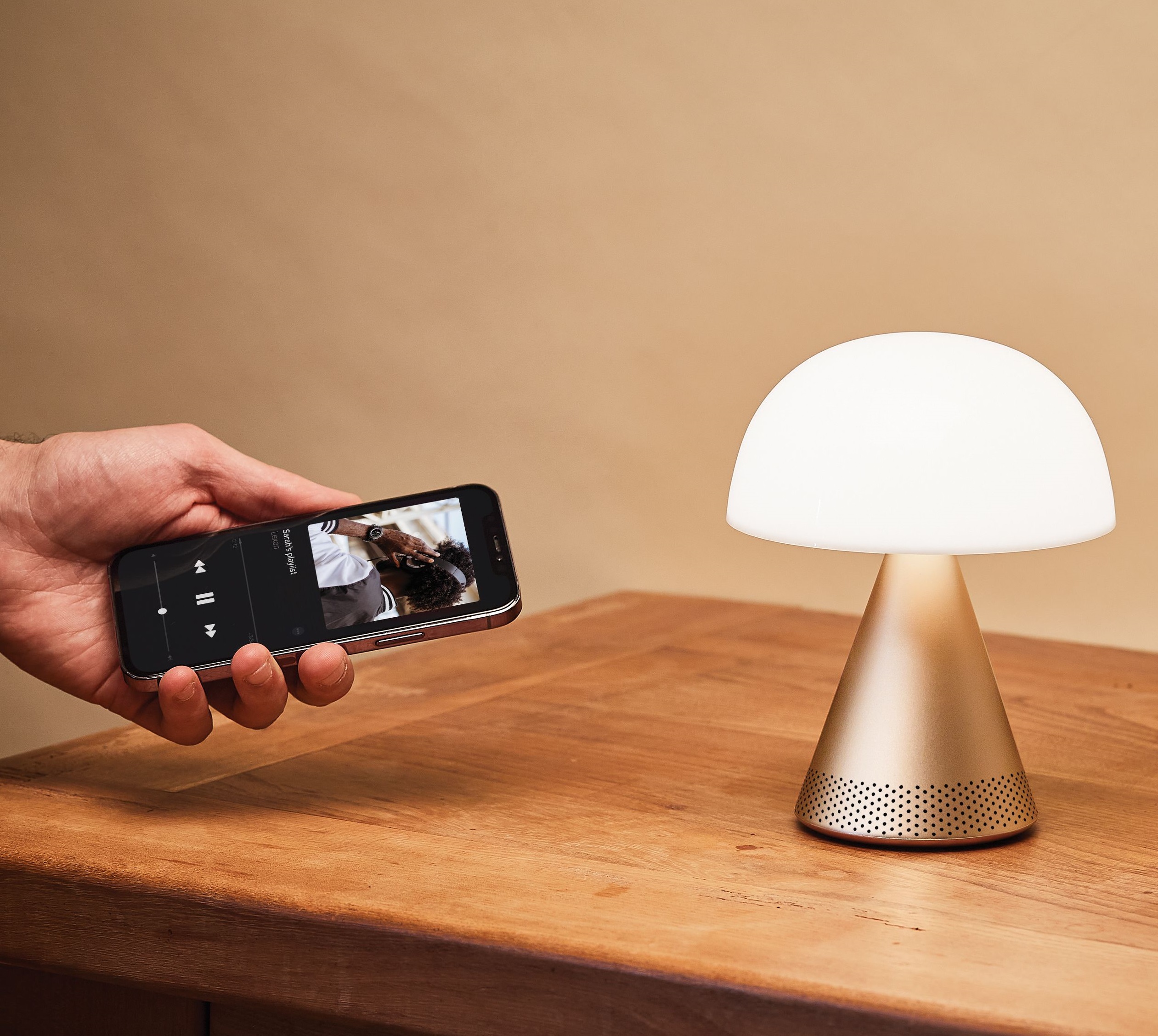 MINA L AUDIO LH76
