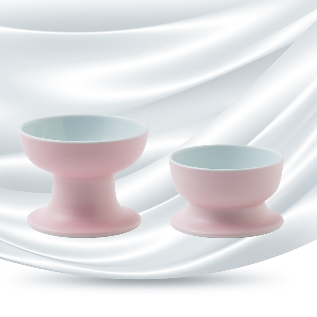 有田焼ペット食器　聖（セント）シリーズ　ハイタイプ（フード用）