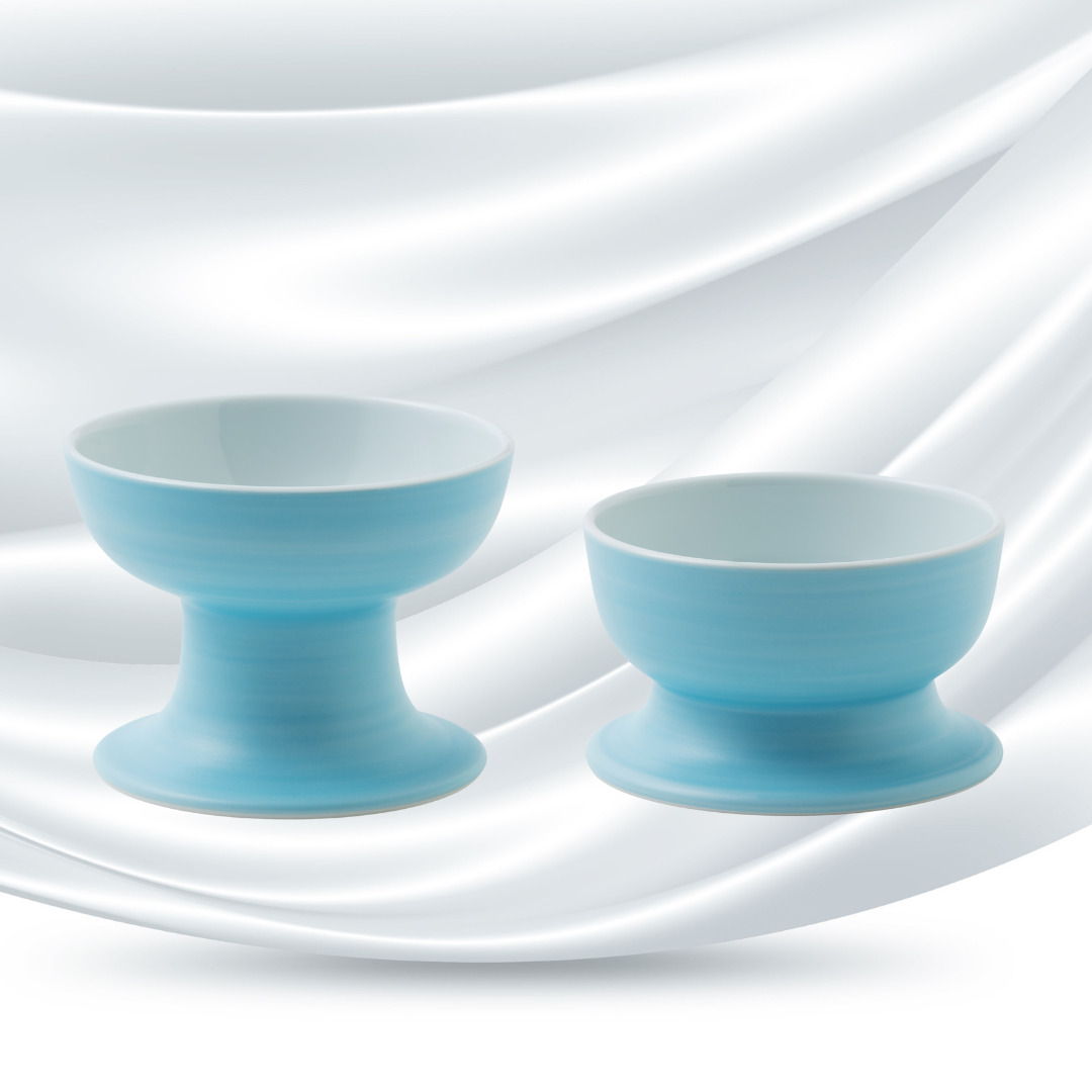 有田焼ペット食器　聖（セント）シリーズ　ロータイプ（水用）