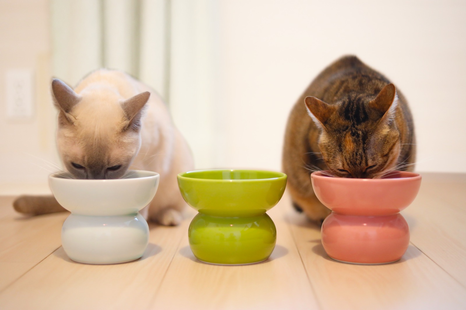 有田焼ペット食器　まどかシリーズ　ハイタイプ（フード用）