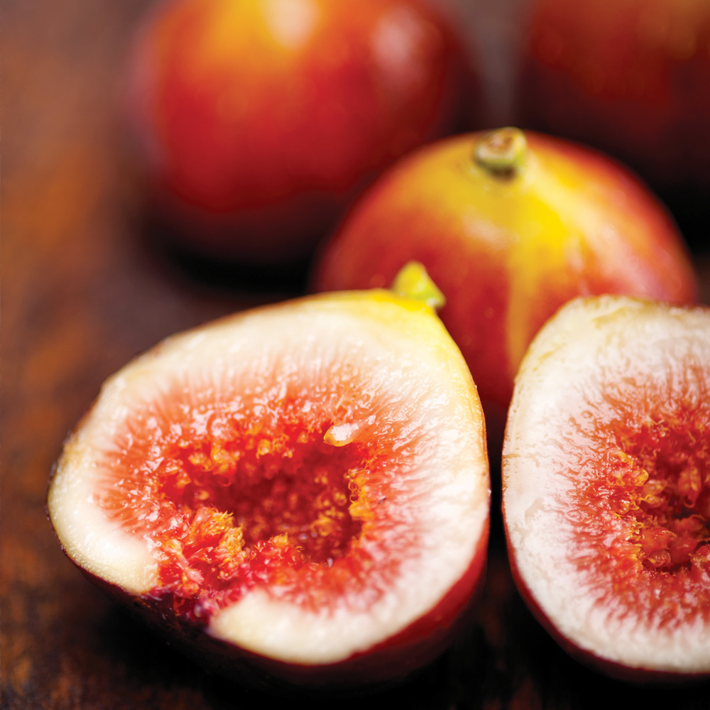 クシオ ドライボディオイル ザクロ＆イチジク 100ml