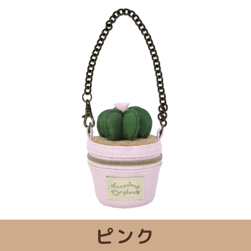 多肉植物 バケツ型ポーチ&ティッシュポーチのギフトセット