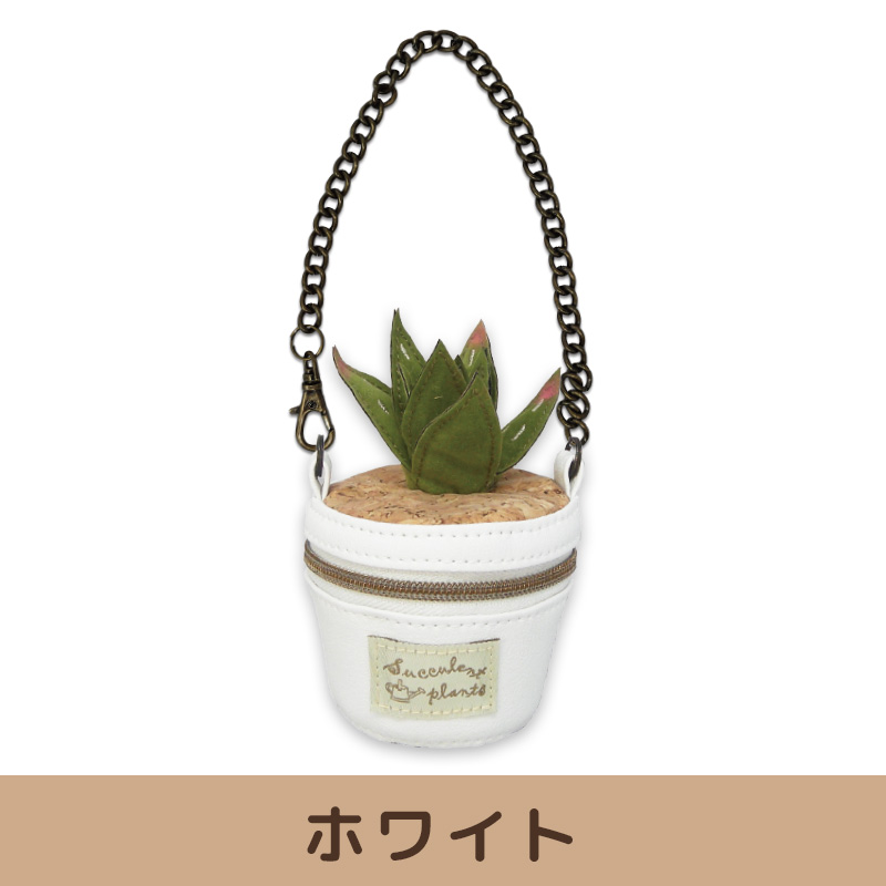 多肉植物 バケツ型ポーチ&ティッシュポーチのギフトセット