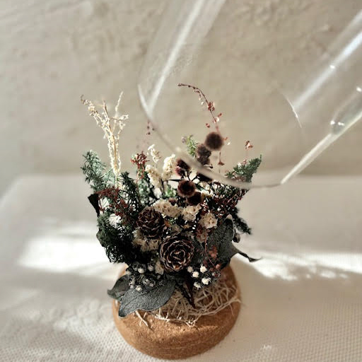 ボタニカルガラスドーム