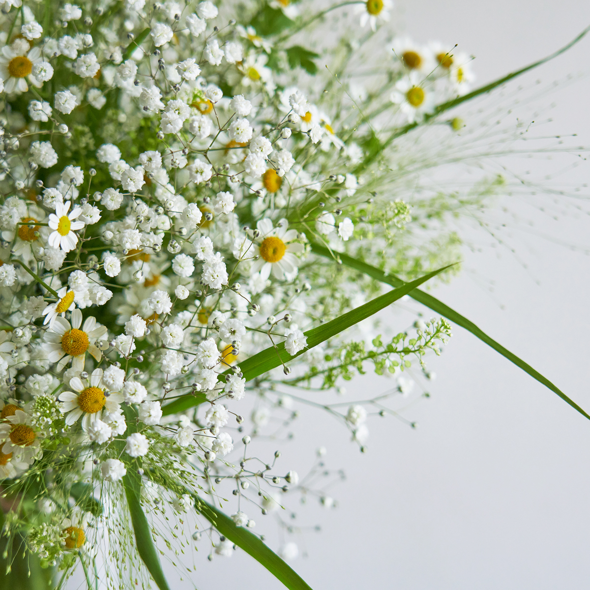 ことばの花束 [ 感謝 ] かすみ草