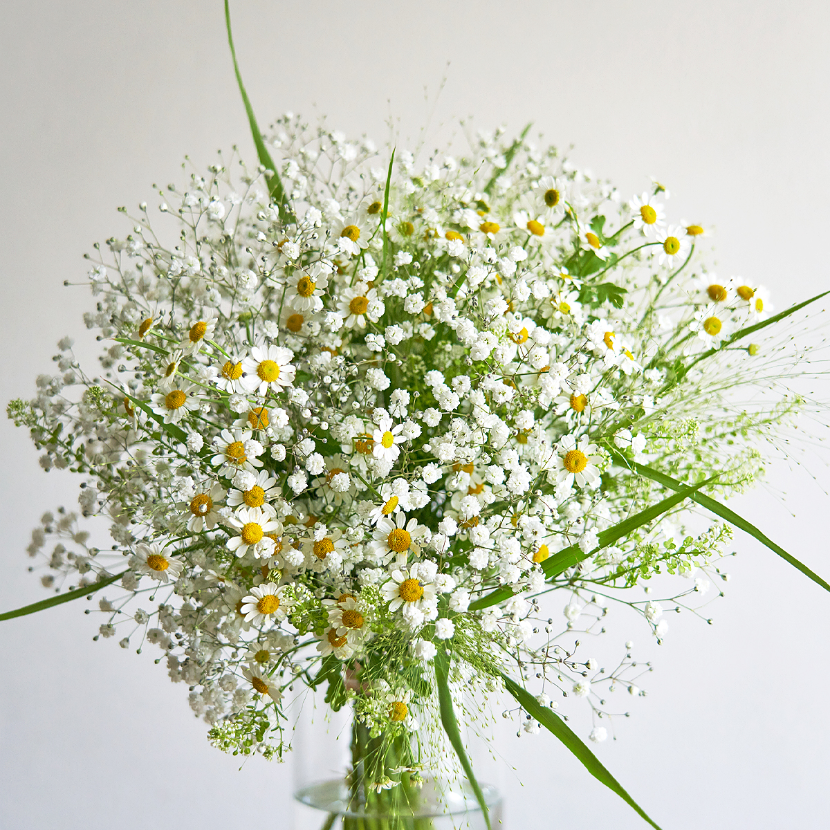 ことばの花束 [ 感謝 ] かすみ草