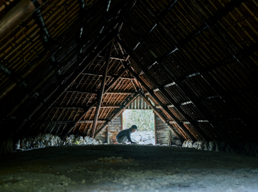 【出産祝い】ママ&ベビーギフト