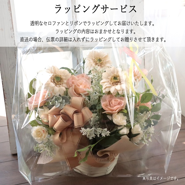 チランドシアのマジカルウォーター