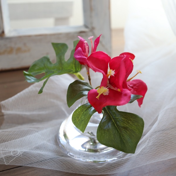 モンステラとブーゲンビリアのマジカルウォーター