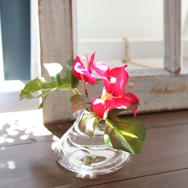 モンステラとブーゲンビリアのマジカルウォーター