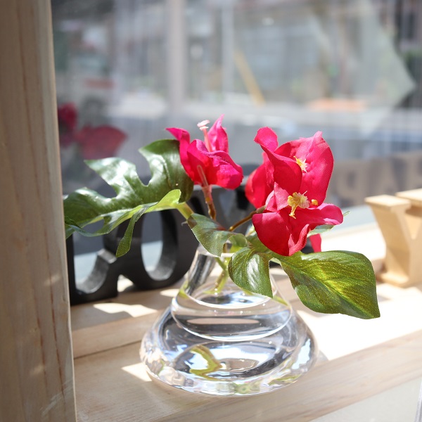 モンステラとブーゲンビリアのマジカルウォーター