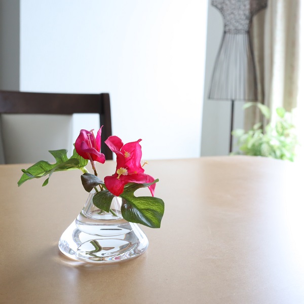 モンステラとブーゲンビリアのマジカルウォーター