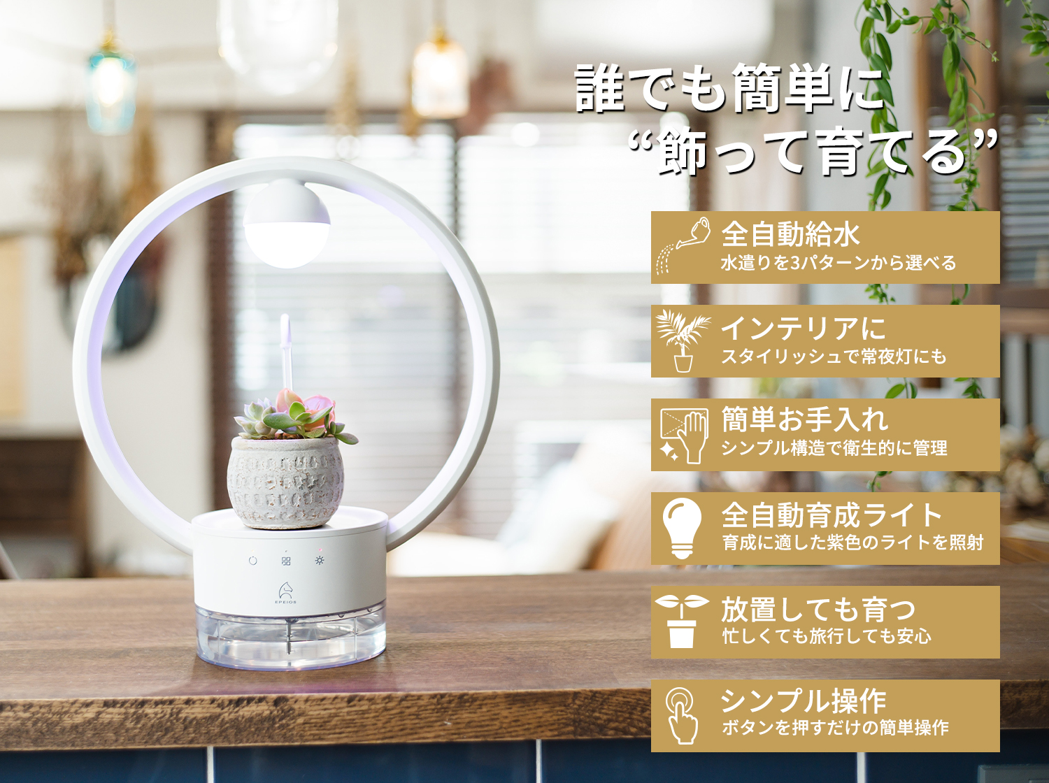 多⾁植物を飾るテーブルランプ「TANIQUE」