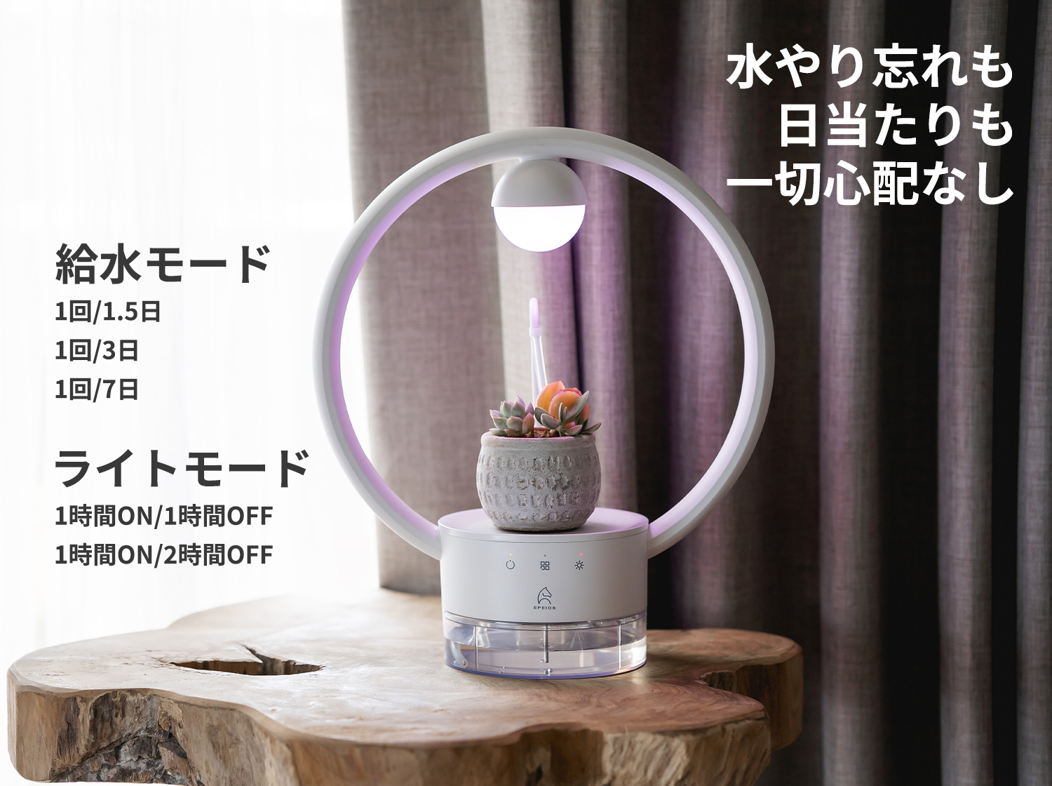 多⾁植物を飾るテーブルランプ「TANIQUE」