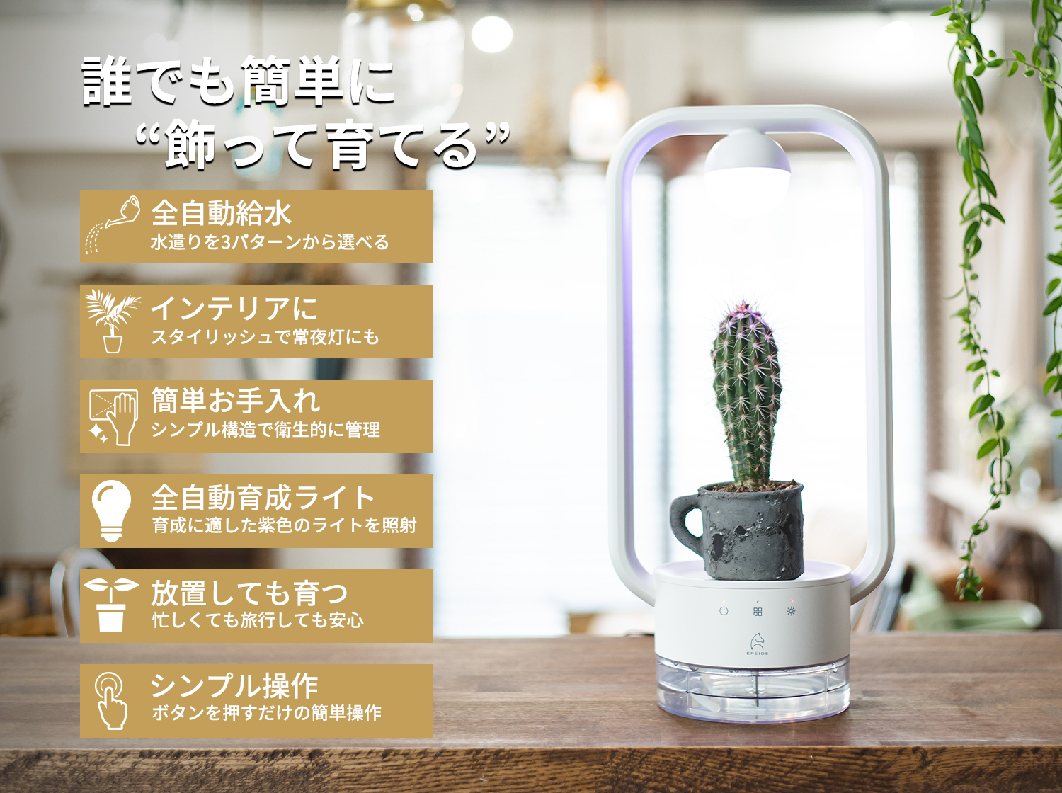 多⾁植物を飾るテーブルランプ「TANIQUE」