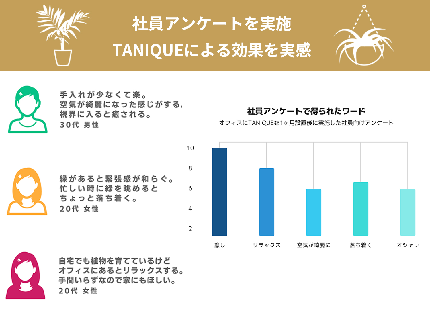 多⾁植物を飾るテーブルランプ「TANIQUE」