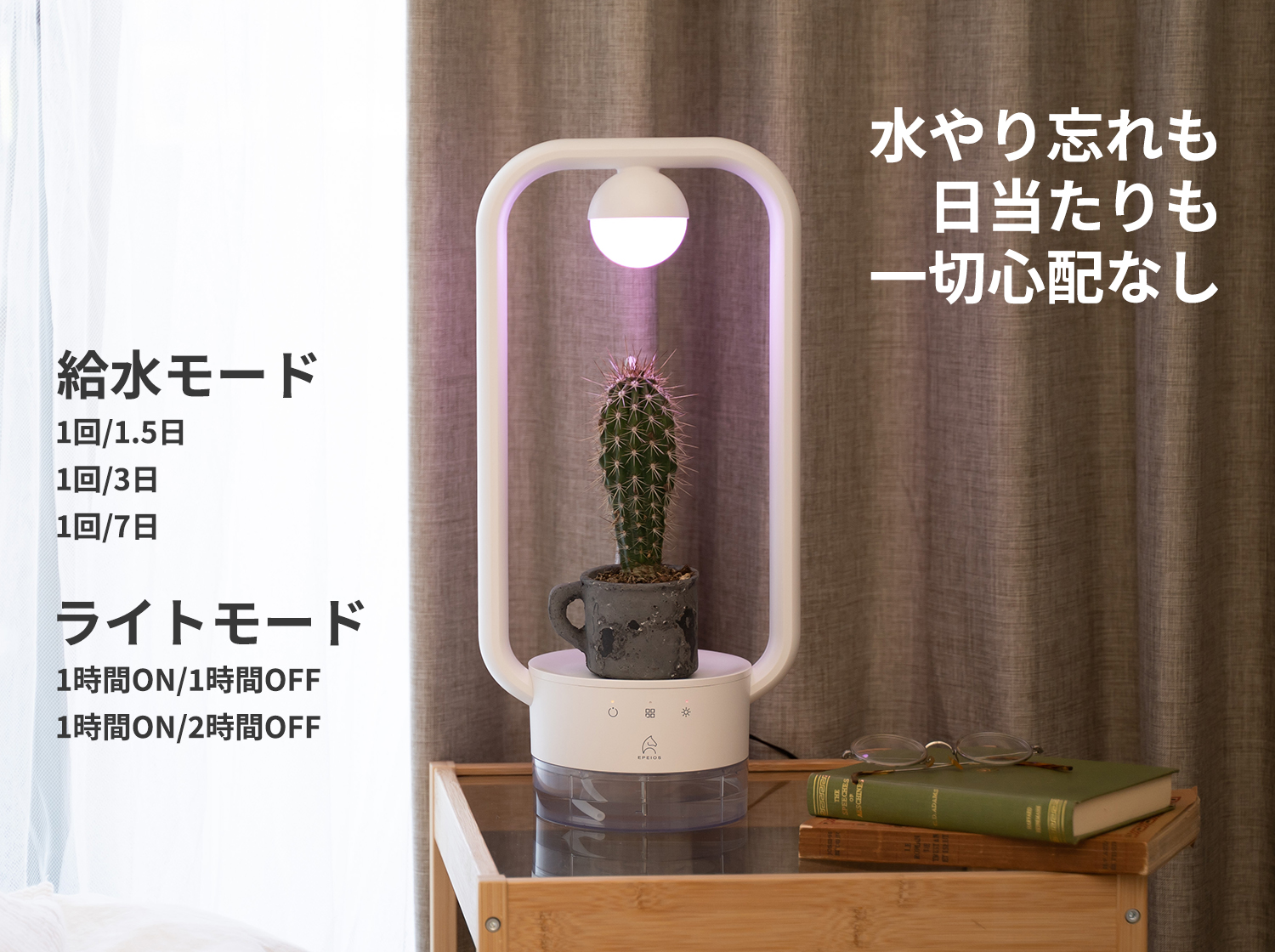 多⾁植物を飾るテーブルランプ「TANIQUE」