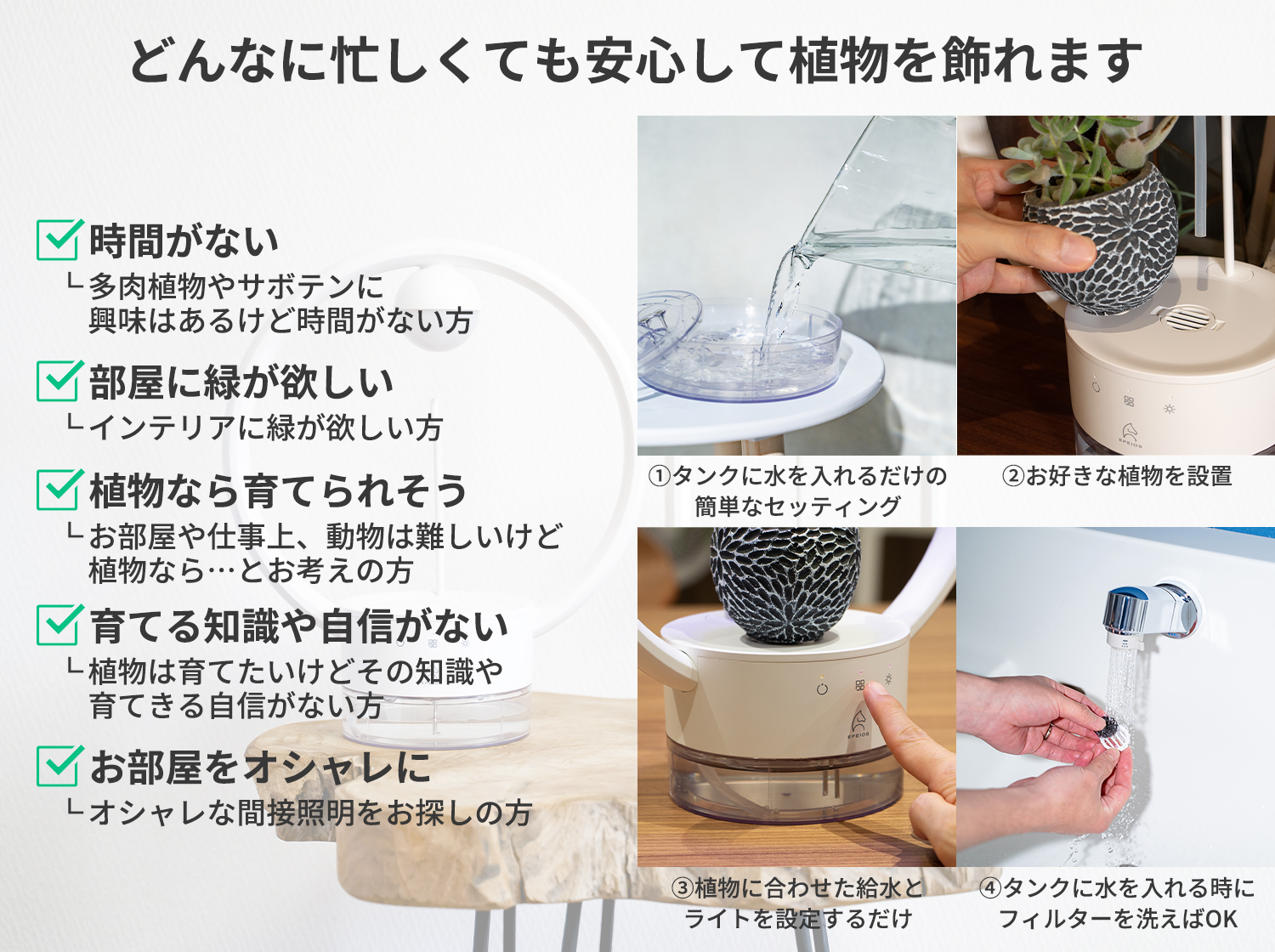 多⾁植物を飾るテーブルランプ「TANIQUE」