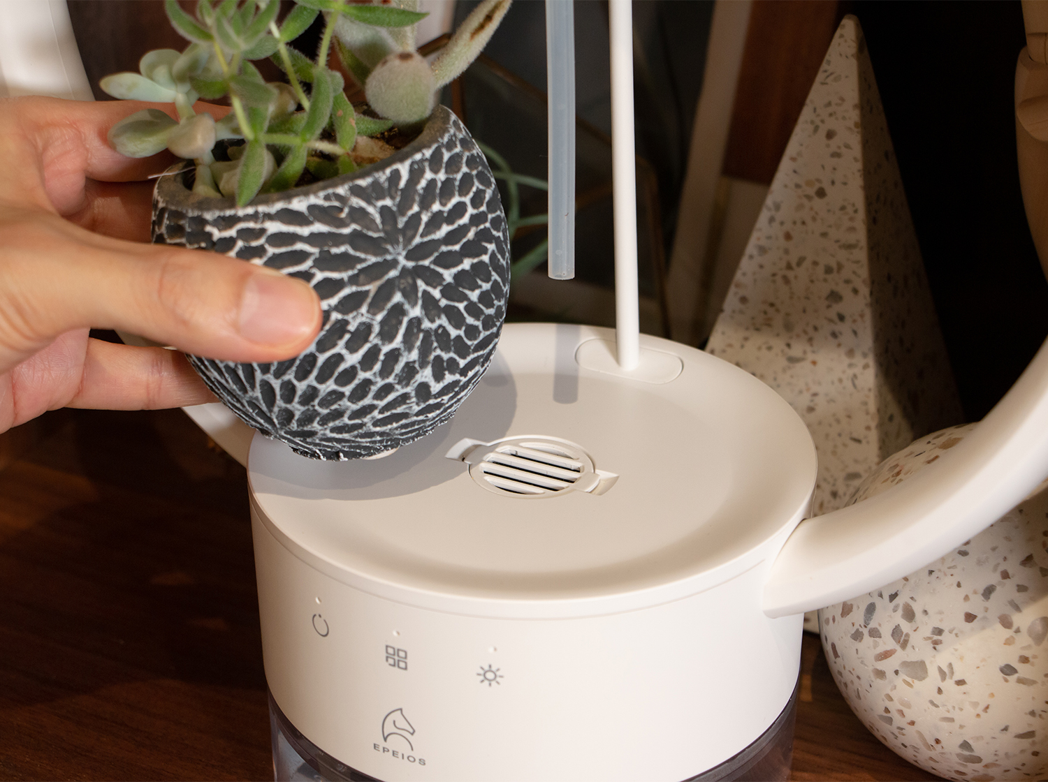 多⾁植物を飾るテーブルランプ「TANIQUE」