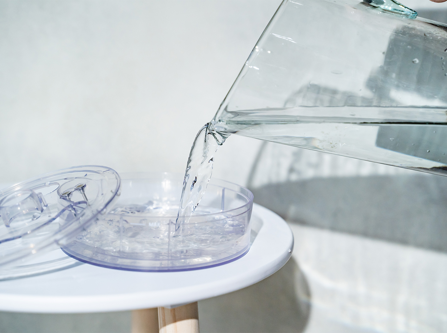 多⾁植物を飾るテーブルランプ「TANIQUE」