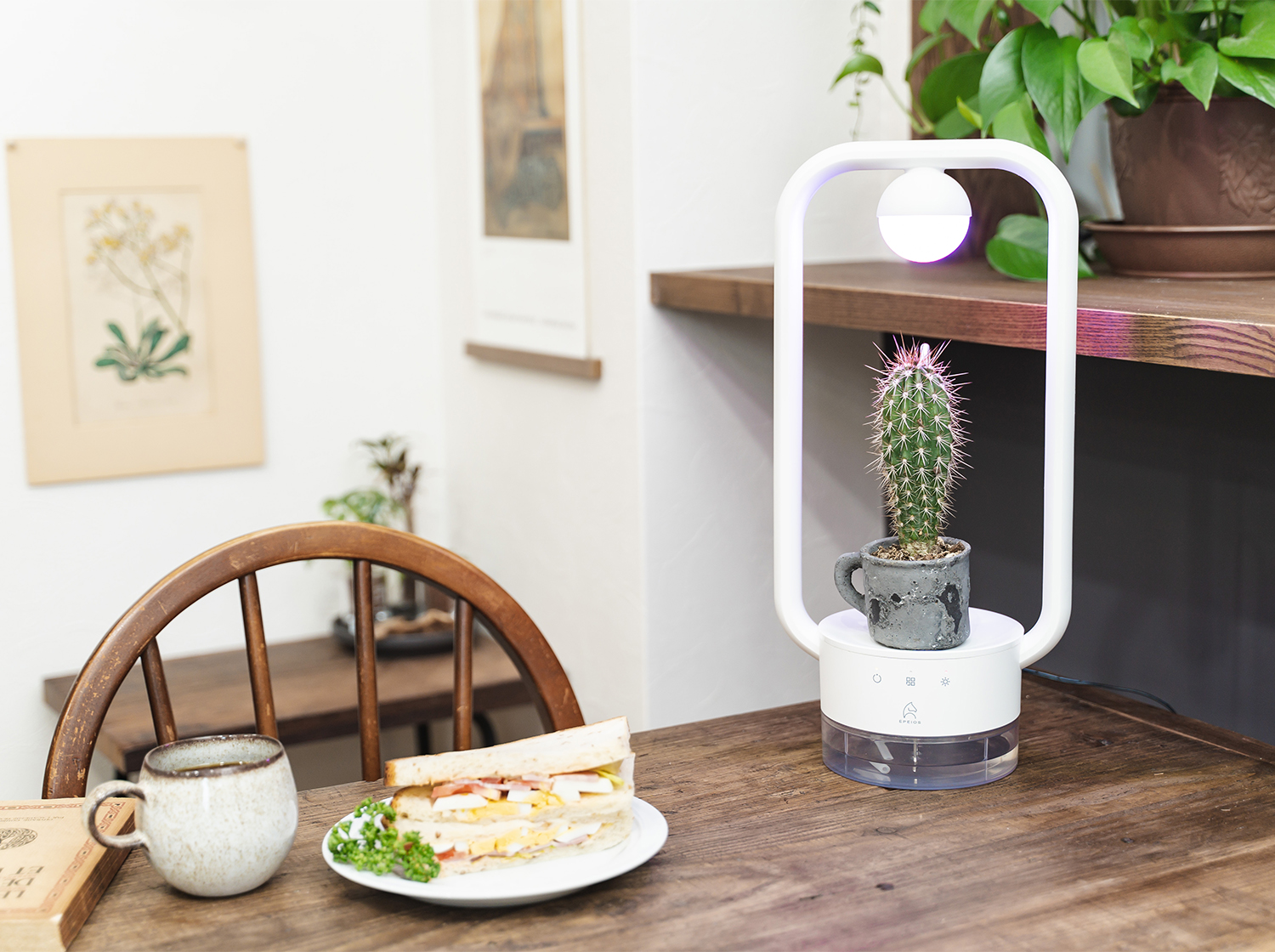 多⾁植物を飾るテーブルランプ「TANIQUE」