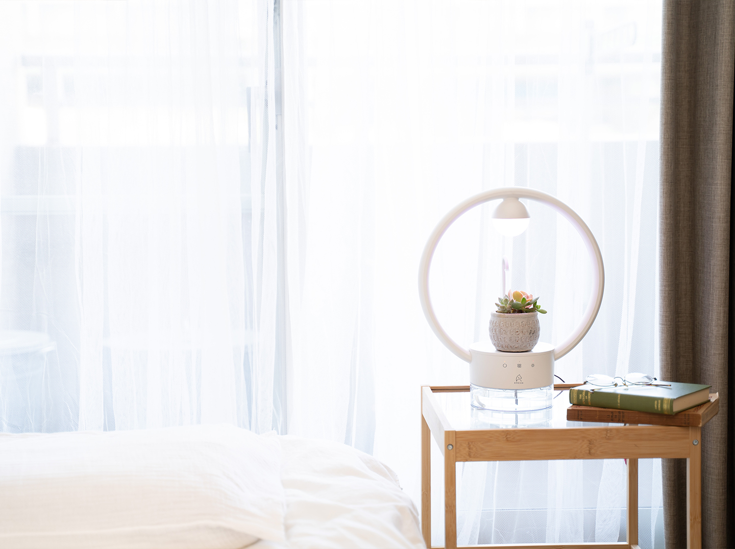 多⾁植物を飾るテーブルランプ「TANIQUE」