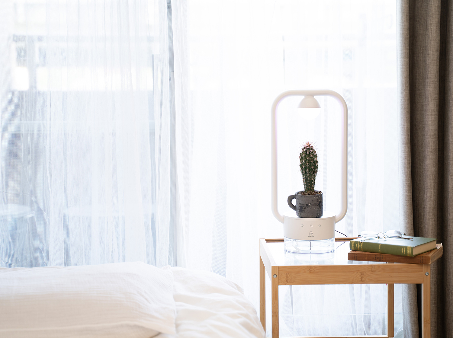 多⾁植物を飾るテーブルランプ「TANIQUE」