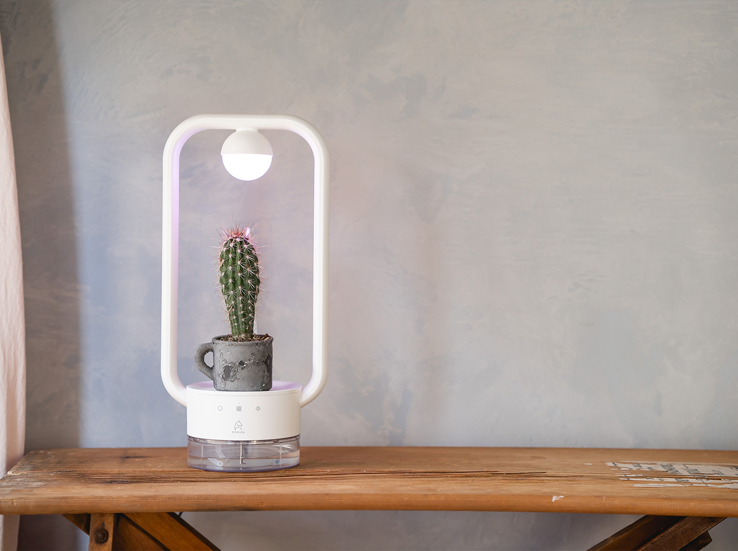 多⾁植物を飾るテーブルランプ「TANIQUE」