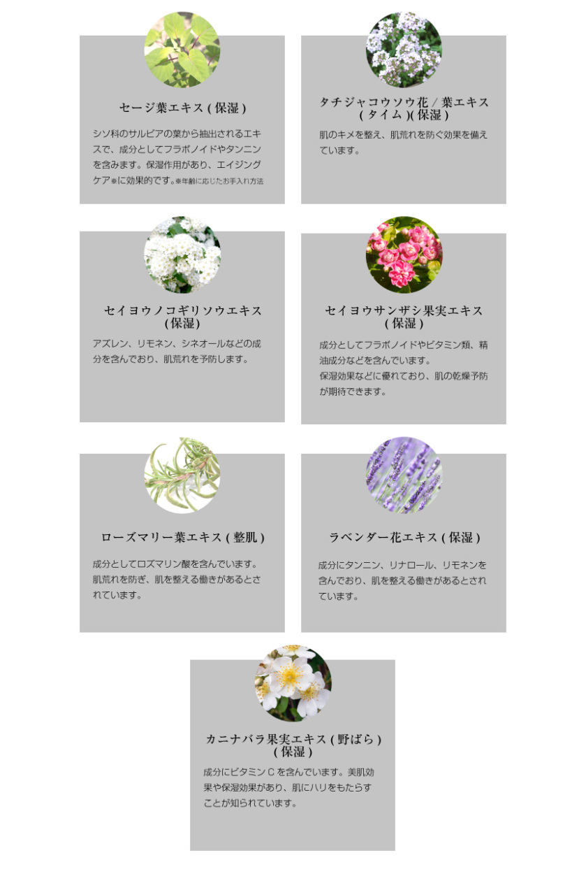 ボディミスト ヴィーナスローザ 50ml 化粧水 ダマスクバラの香り