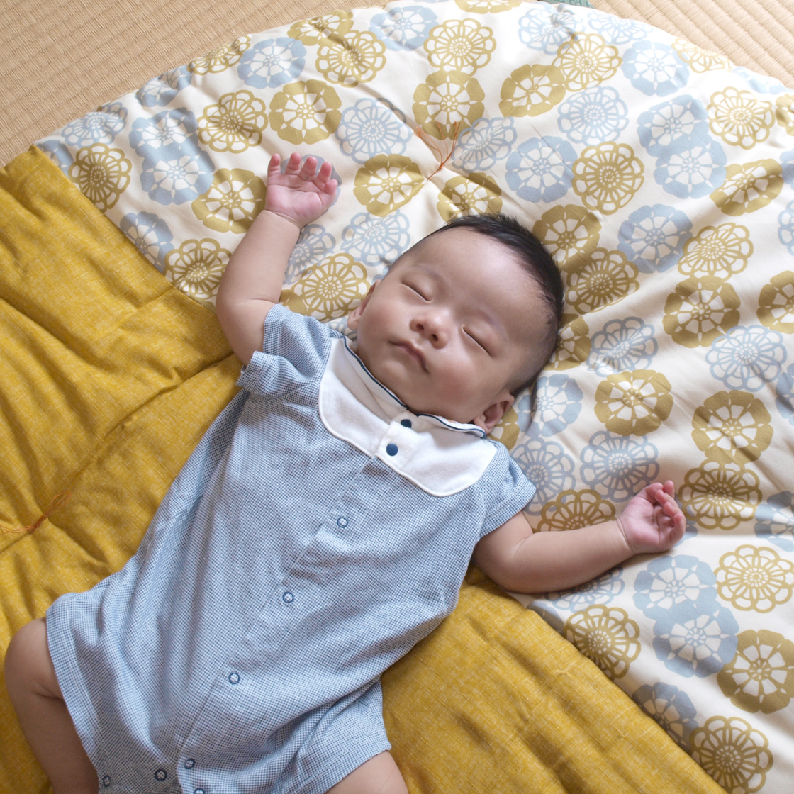 せんべい座布団