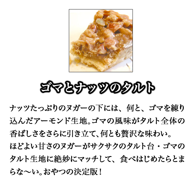 お試しベイクドタルト 6個セット
