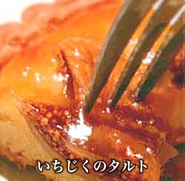 お試しベイクドタルト 6個セット