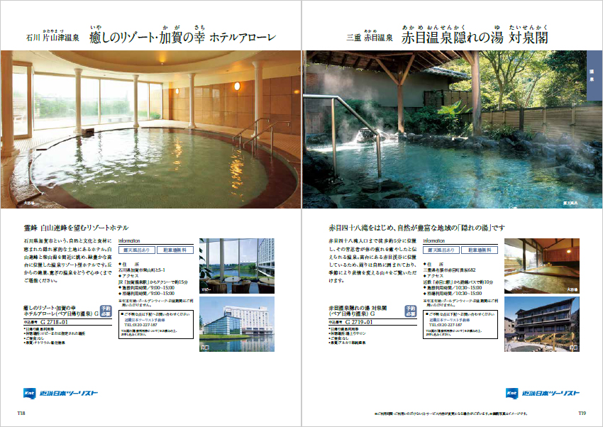 テイク・ユア・チョイス「ガーベラ」