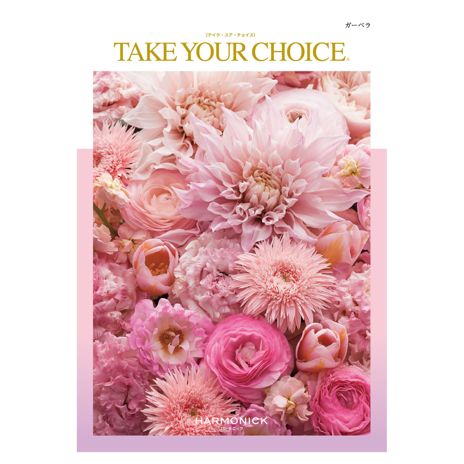 テイク・ユア・チョイス「ガーベラ」