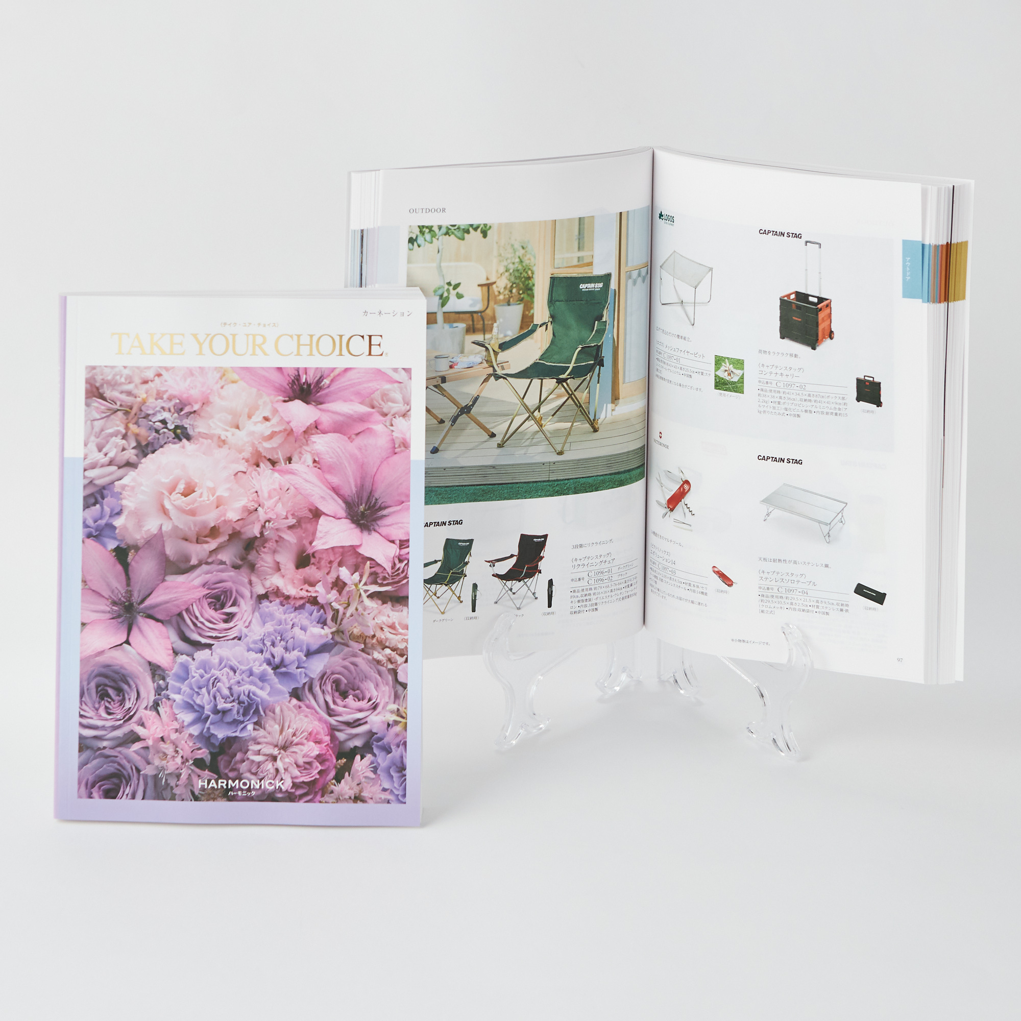 テイク・ユア・チョイス「カーネーション」