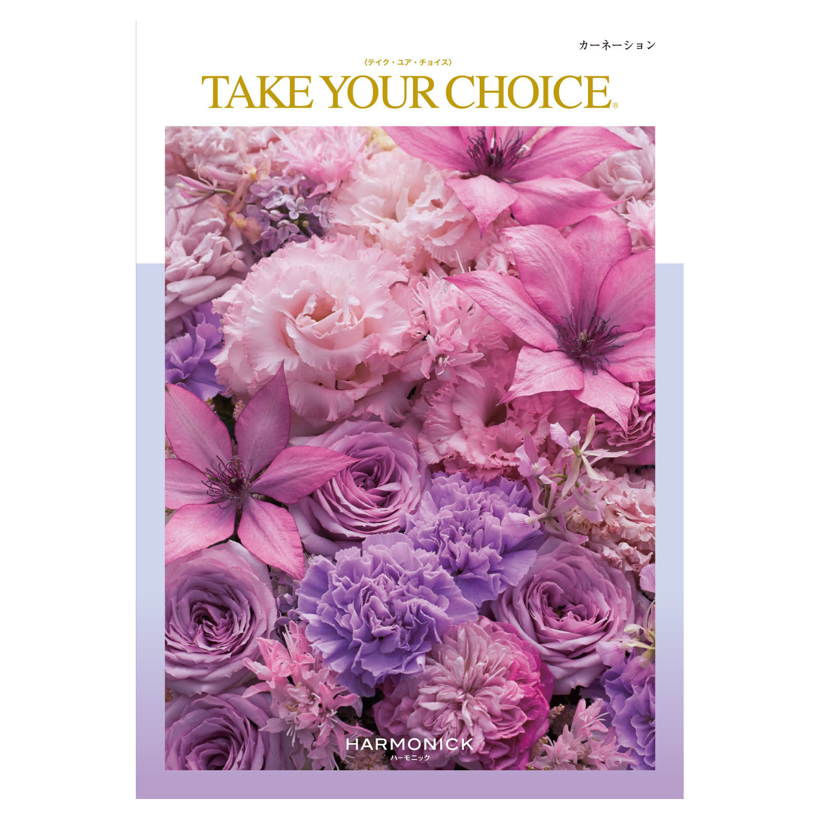 テイク・ユア・チョイス「カーネーション」