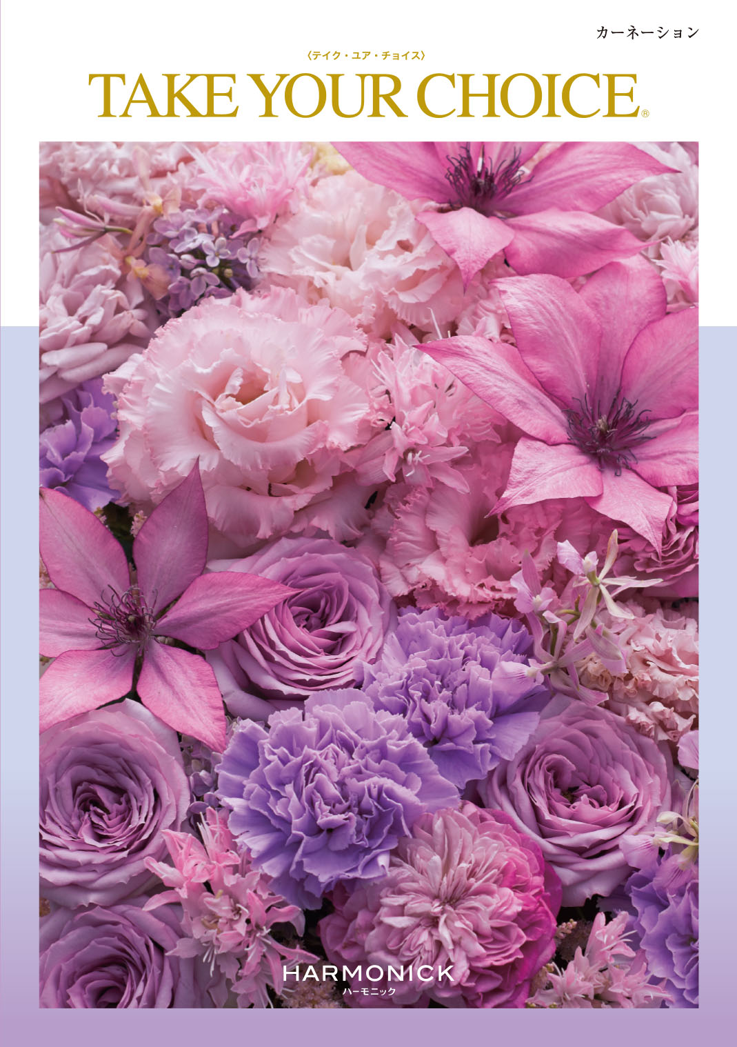 テイク・ユア・チョイス「カーネーション」 | Harmonick（ハーモニック