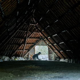 入浴剤「HAA」＆シルクくつ下温活セット