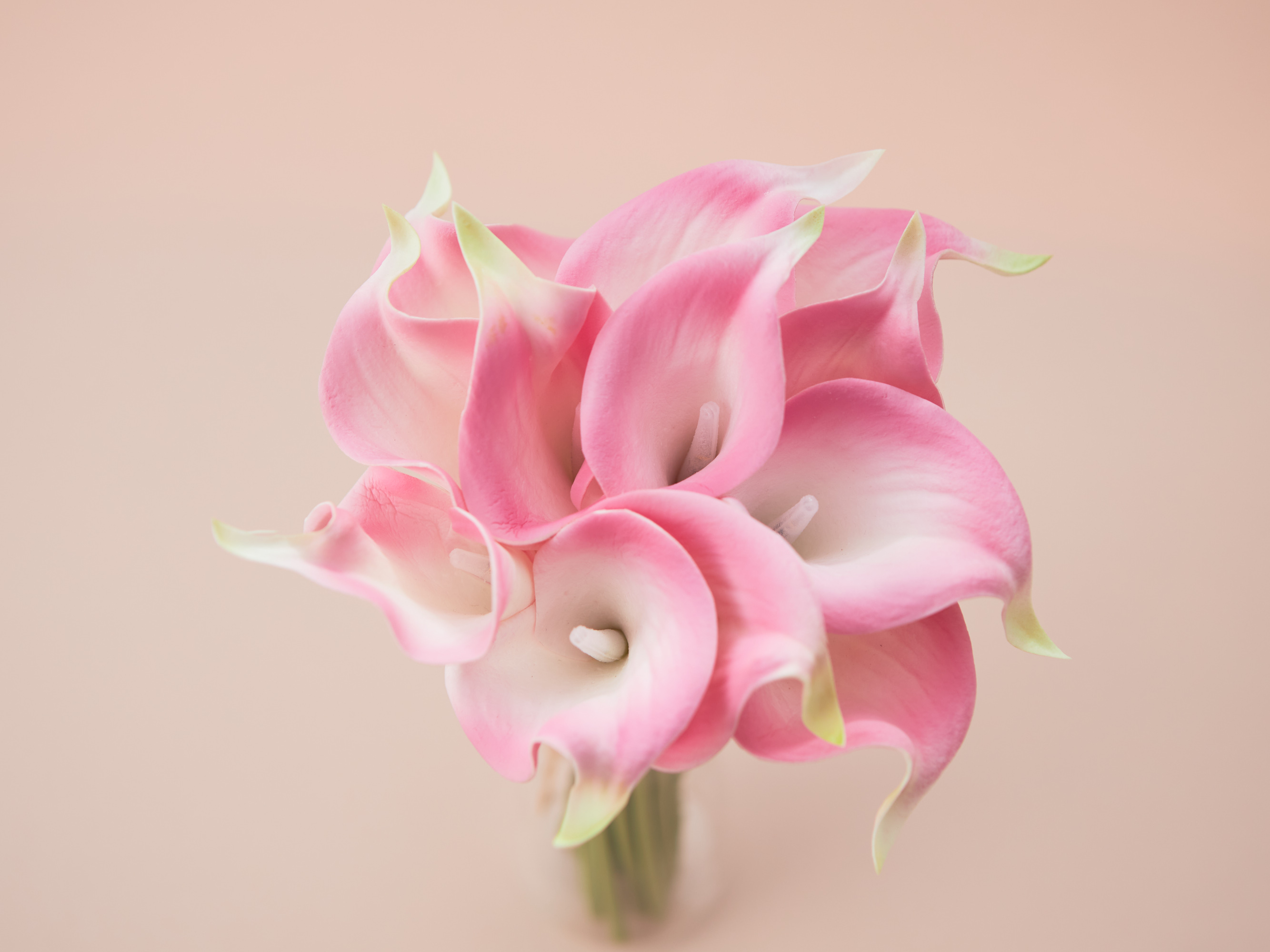 すぐに飾れるカラーブーケライト＋ベース2点セット