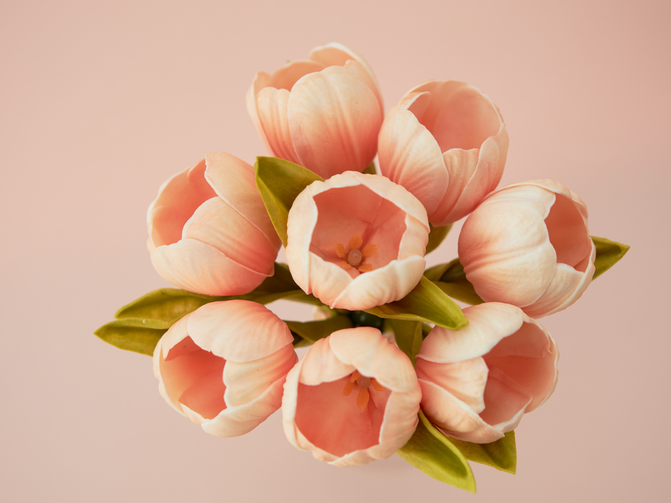 ブルームチューリップブーケライト＋ベース2点セット