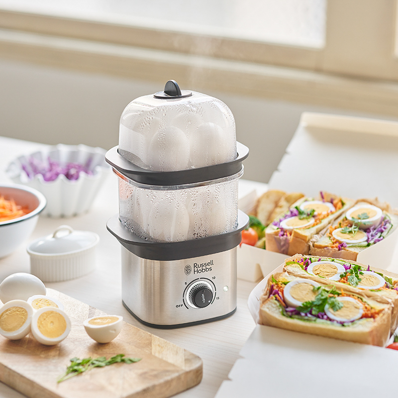 クイックミニスチーマー 3000JP