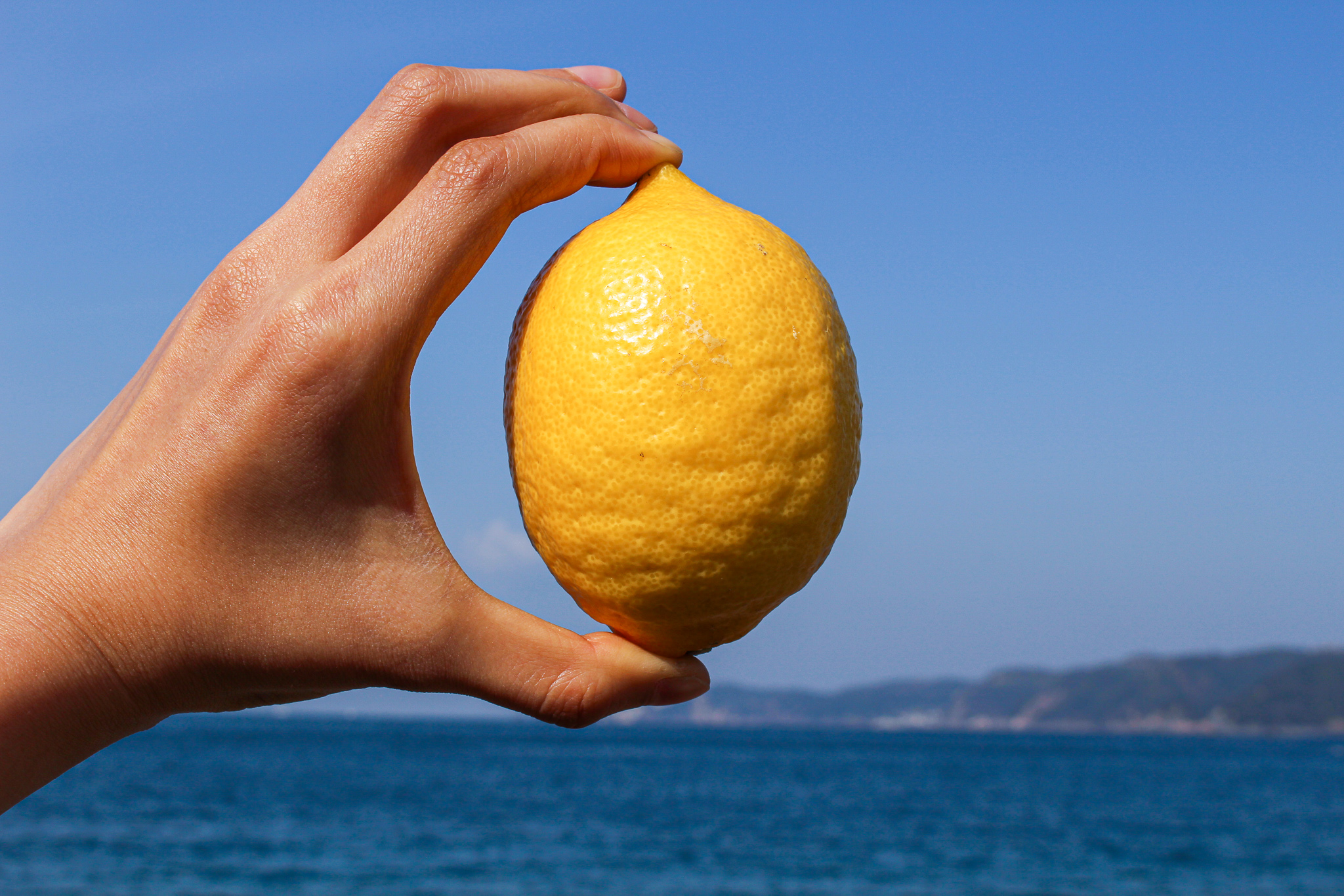 クラフトリモンチェッロ