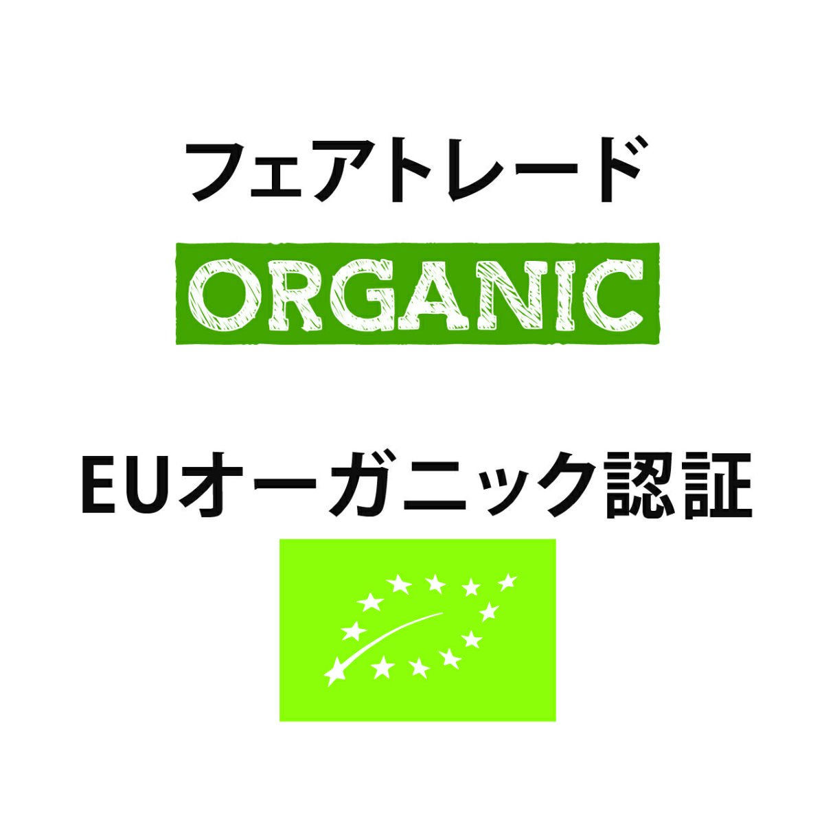コーヒー ブリューワー 5種セット