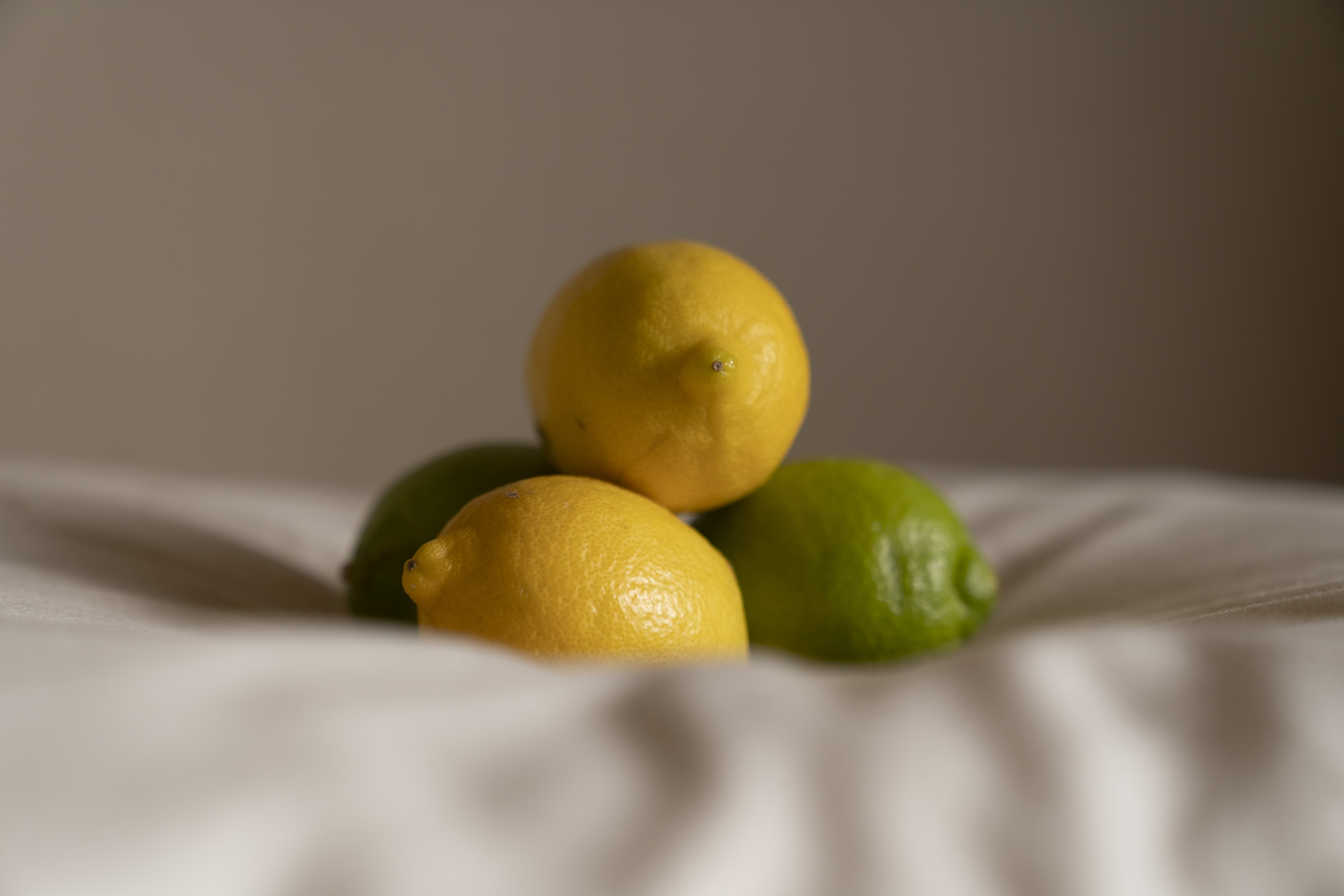 incense LOG／香たて（お香）