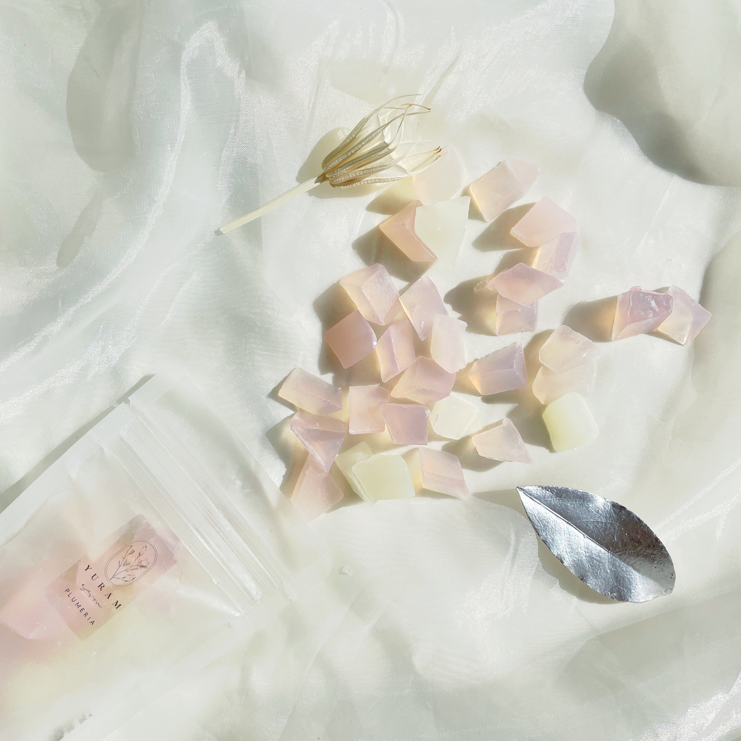 Savon fragrance　gift