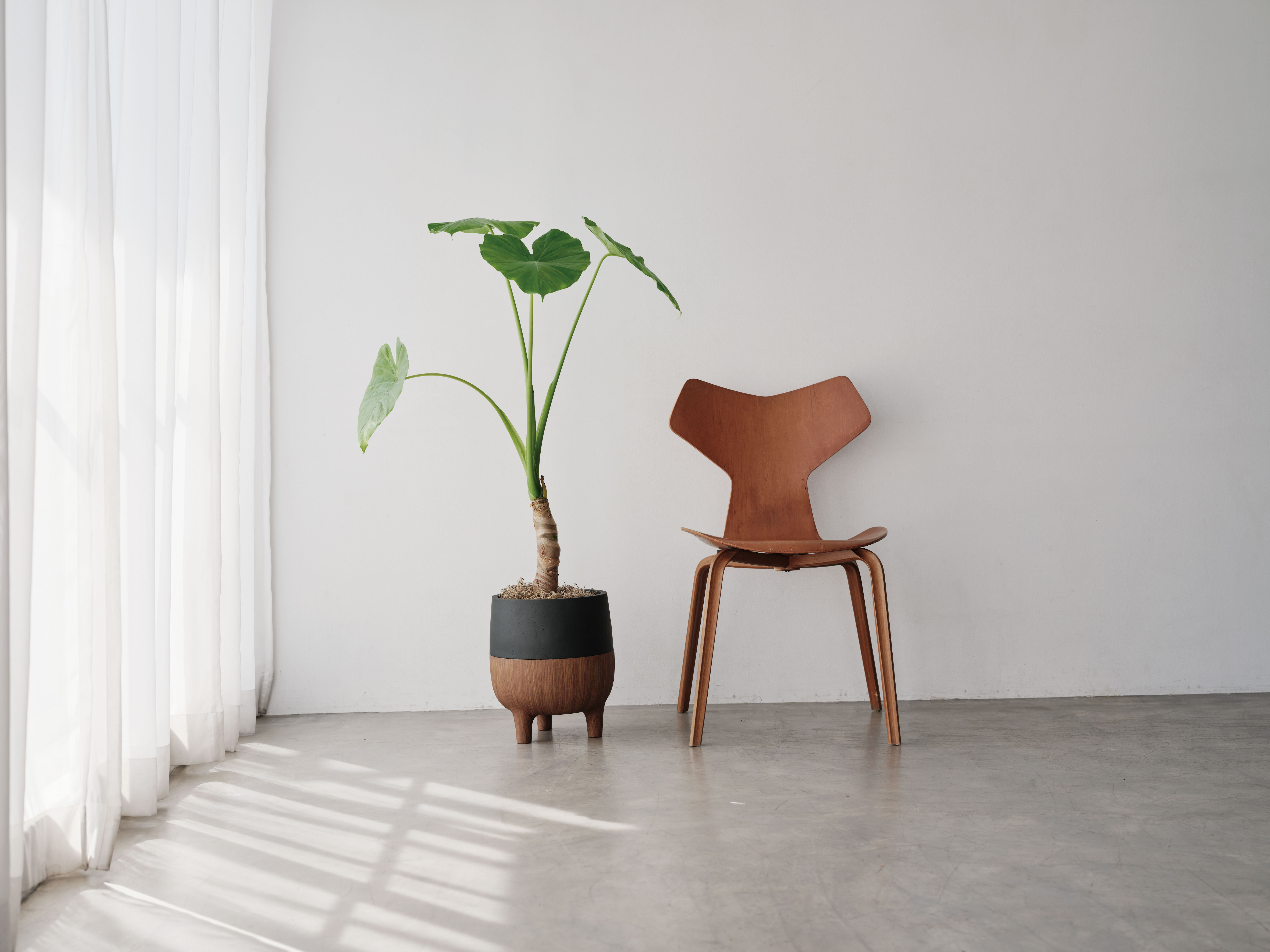 アクタス　ギフトカタログ＜TSUKIKAGE　[月影]　＞