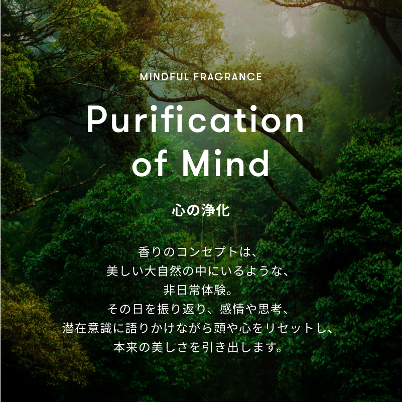 ピュアモイストフォーミングウォッシュ a