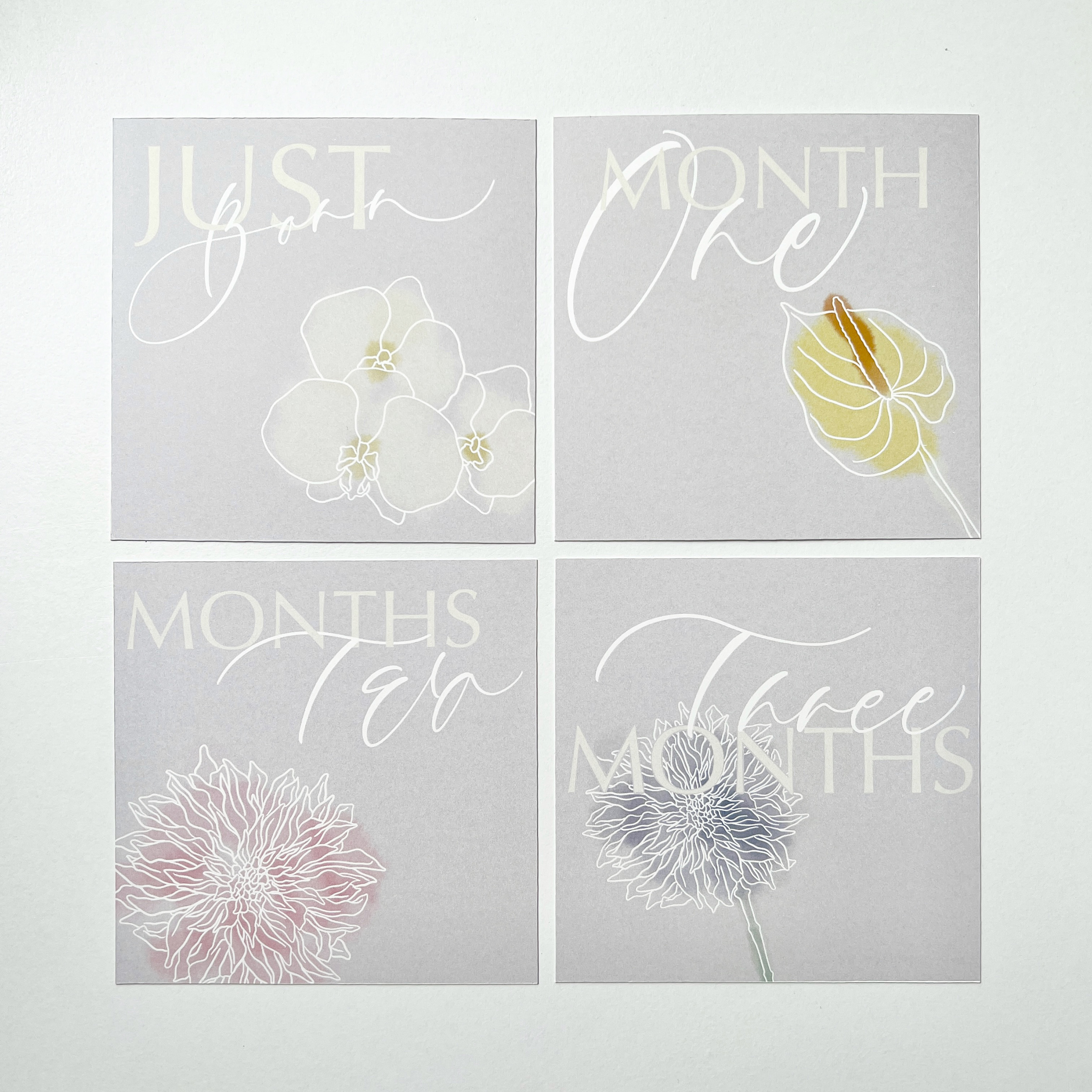 マンスリーカード