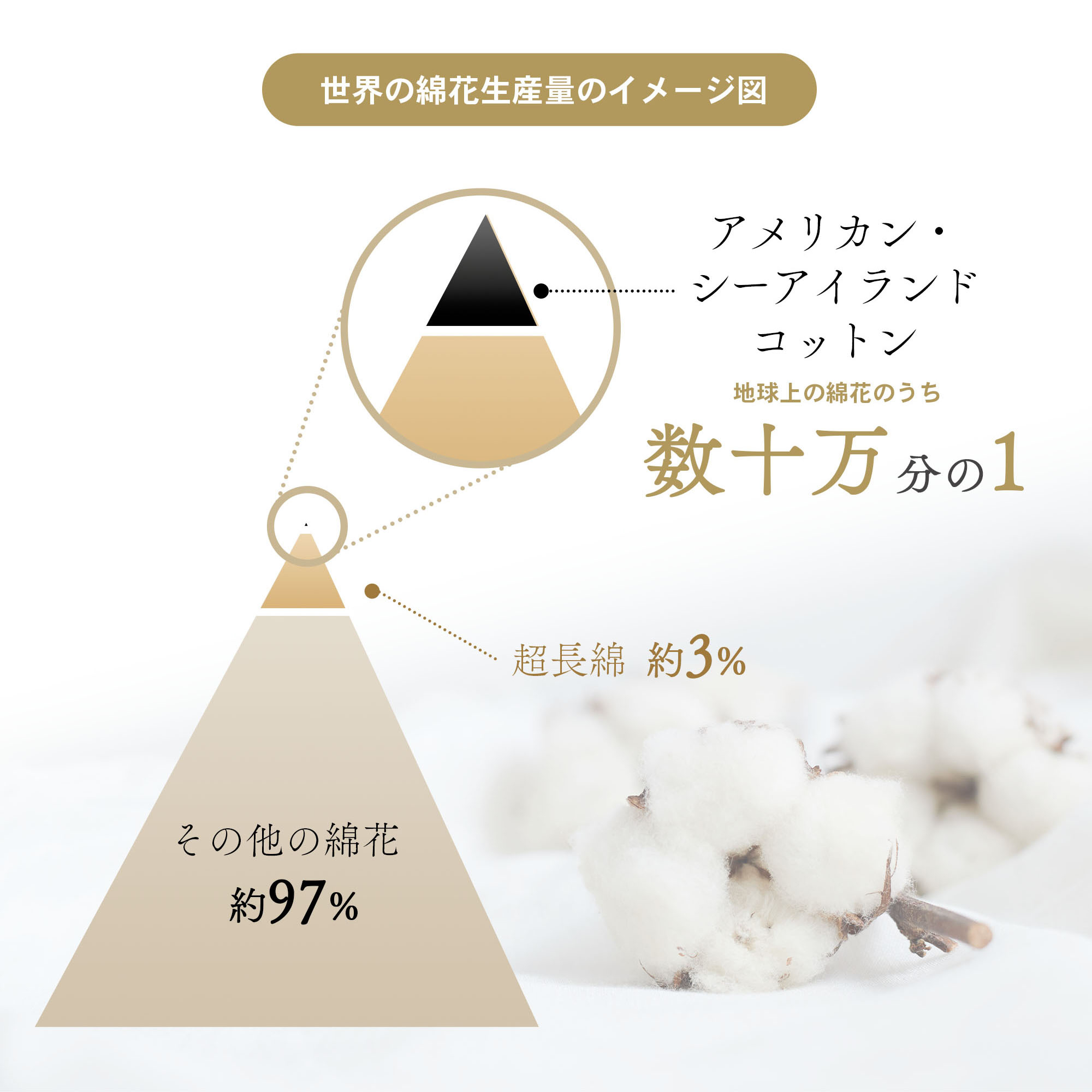 「礼-rei-シリーズ」フェイスタオル2枚セット 奇跡の綿花・アメリカンシーアイランドコットン 綿100%