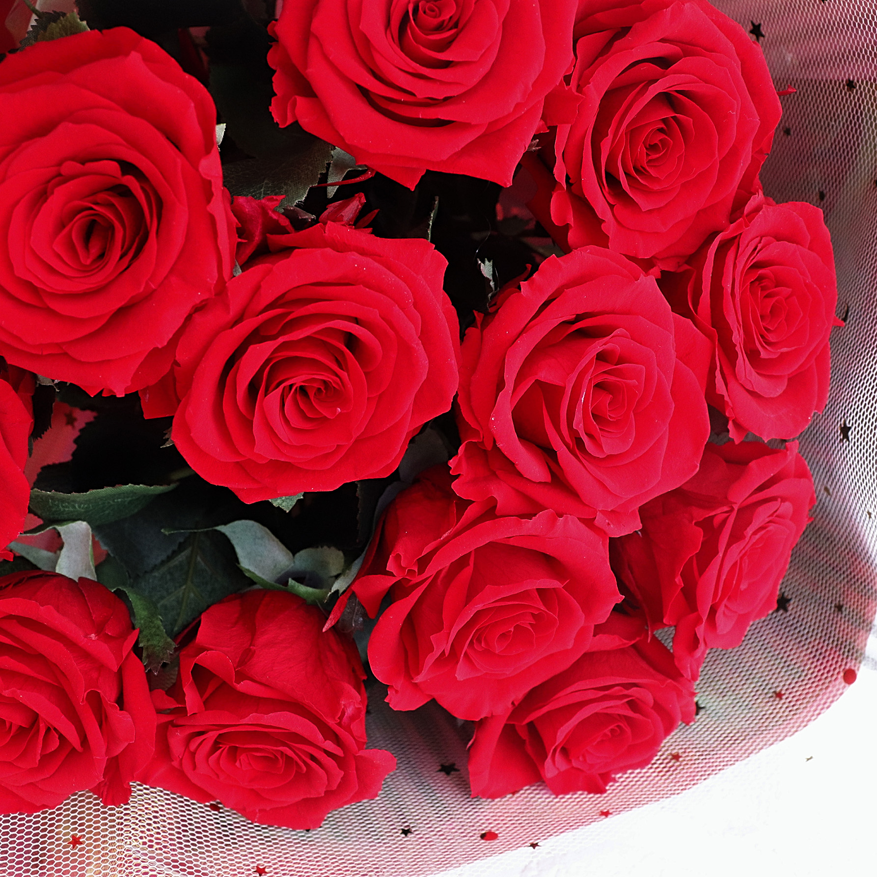12本のレッドローズ（枯れないお花 プリザーブドフラワー）